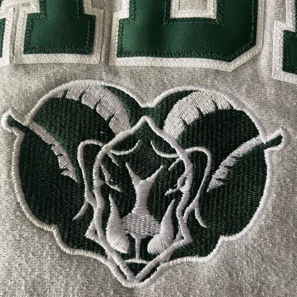 #292 BADIN RAMS HOODIE. Gray in color with awesome patch embroidered logo. - Picture 11 of 14